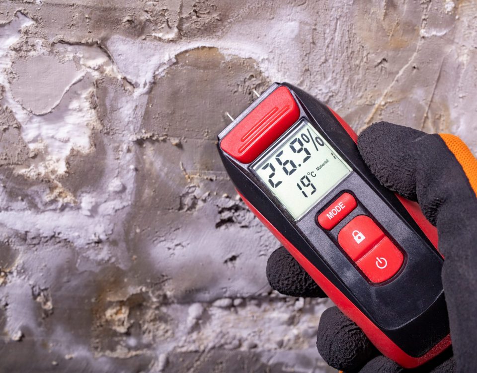 Capillary rising damp
