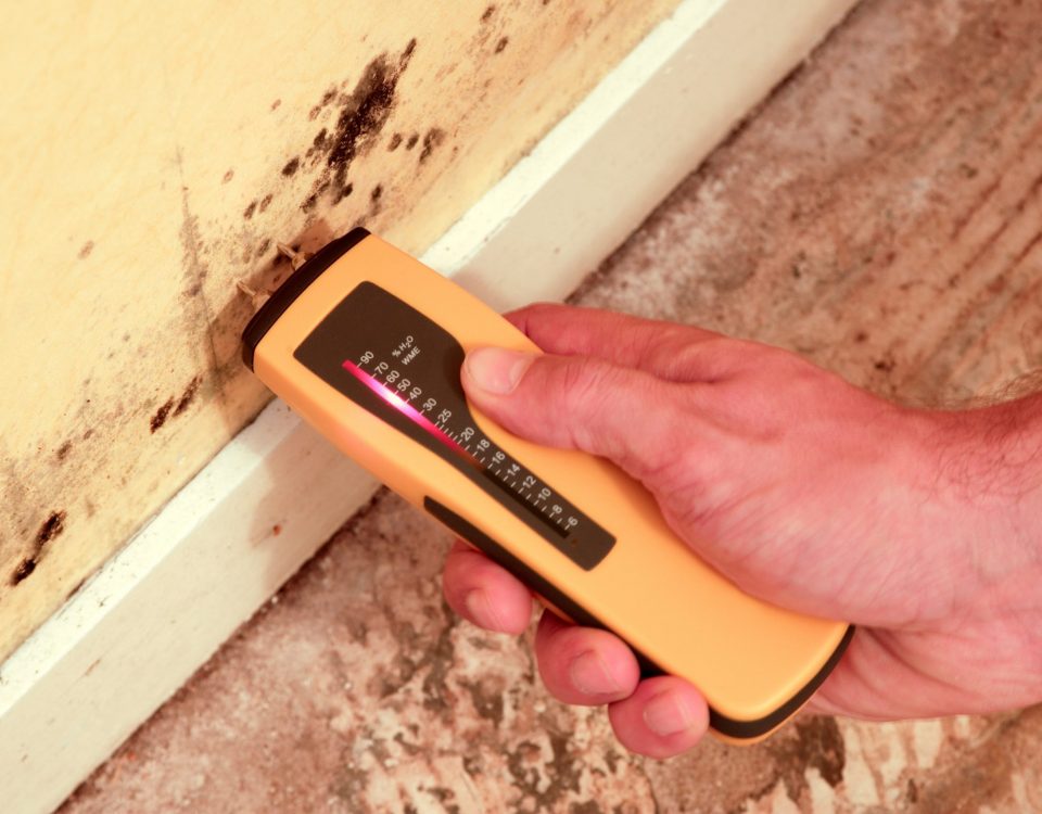 Capillary rising damp