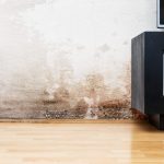 Penetrating damp