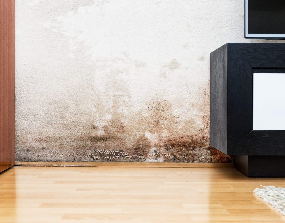 Penetrating damp