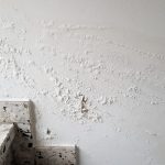 Damp patches