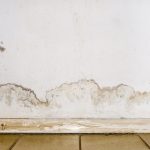 rising damp