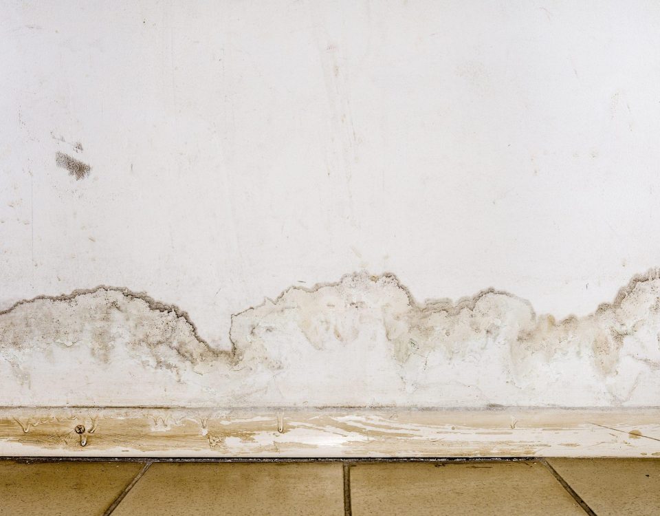 rising damp