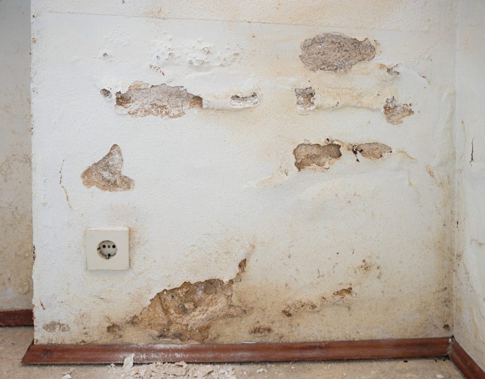 Damp patches