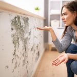 rising damp