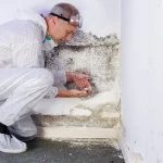 anti-damp-device