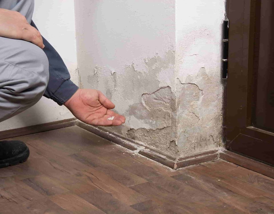 anti-damp-device