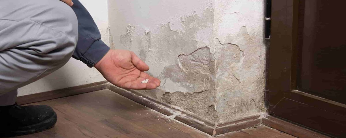 wall-drying-solution