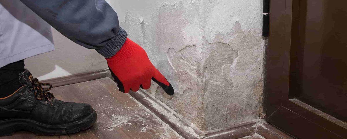 wall-drying-solution
