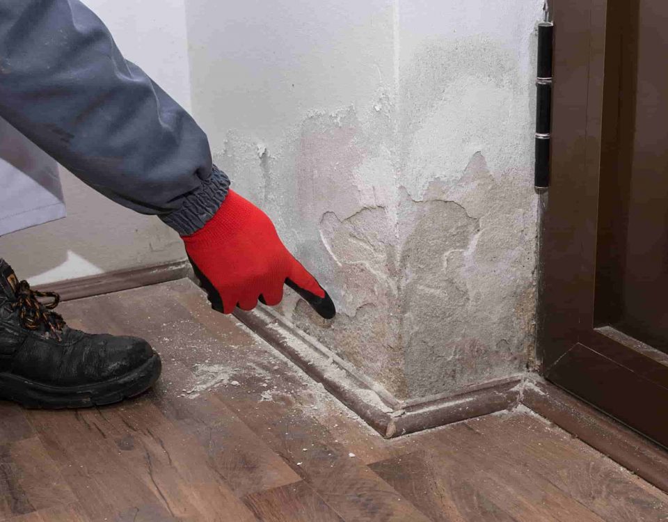 wall-drying-solution
