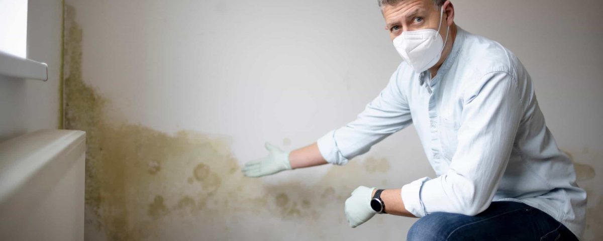 anti-damp-device