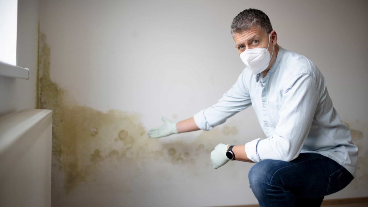 anti-damp-device
