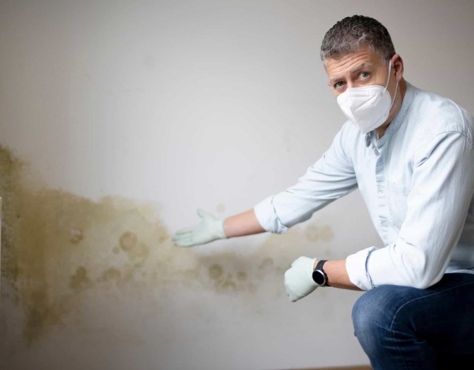 anti-damp-device