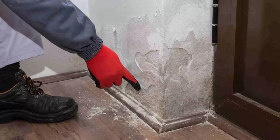 remontée capillaire