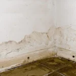 Traces d’humidité au pied de deux murs