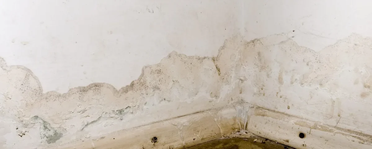 Damp marks at the base of two walls