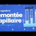 Vidéo : Mur humide en bas : est-ce une remontée capillaire ?
